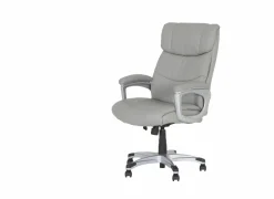 Bureaustoel Big Daddy 68x75,5x112cm - lederlook - grijs