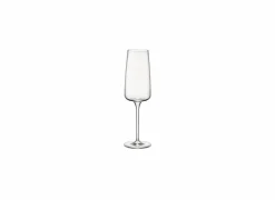 Champagneglas Planeo 24cl - glas - transparant set van 4