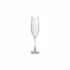 Champagneglas Saga 29cl - glas - transparant set van 4