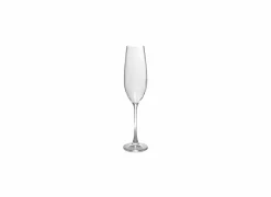 Champagneglas Saga 29cl - glas - transparant set van 4