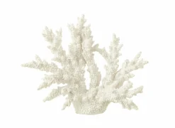 Deco Koraal XL H27cm