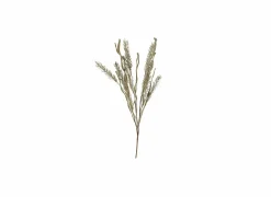 Decoratietak Dried-Look Erica H60cm