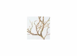 Decoratietak Drift Wood H93cm