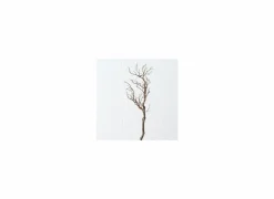 Decoratietak Drift Wood H93cm
