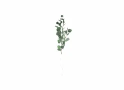 Decoratietak Eucalyptus H92cm