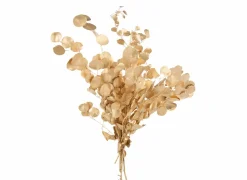 Decoratietak Eucalyptus H60cm