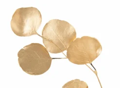 Decoratietak Eucalyptus H60cm