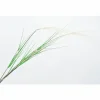 Decoratietak Grasspriet H122cm