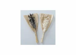 Decoratietak Hazenstaart 70cm - gedroogde materie - wit/zwart