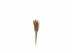 Decoratietak Pennisetum 85cm