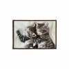 Deurmat Atrium Cuddle Kittens 40x60cm - nylon - multicolor