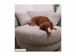 Draaifauteuil Nest 128x120x69cm - stof - beige/grijs