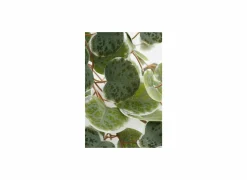 Hangende kunstplant Ceropegia woodii H46cm polyester groen