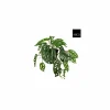 Hangende kunstplant Monstera H40cm kunststof groen