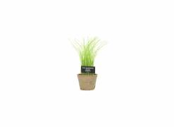 Kunstplant Bieslook H27cm