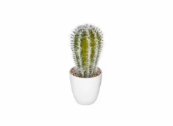 Kunstplant Cactus H18cm