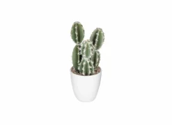 Kunstplant Cactus H18cm