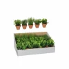 Kunstplant Kruiden in pot H18cm