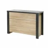 Ladekast Phaedra 120x48x83cm - decor - Franse eik/nox