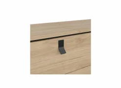 Ladekast Ry 151x41x95cm - decor - bruin/zwart