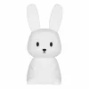 Nachtlampje Konijn silicone - wit