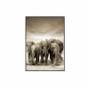 Print op canvas Etosha 80x120cm