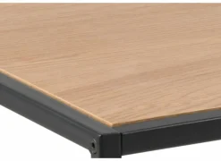 Salontafel 100x50cm - decor - eik