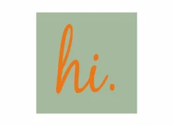 Serviette 25x25cm - papier - oranje/groen 20 stuks