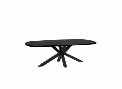 Tafel Raphael 200x100cm - melamine - NOX