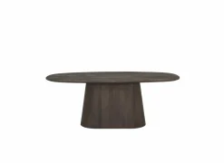 Tafel Woodwork 200x100cm - mango massief - naturel