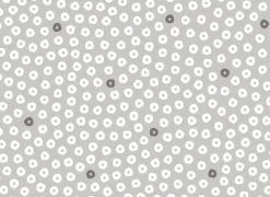 Tafelkleed Captain Cook Ø160cm - vinyl - grijs