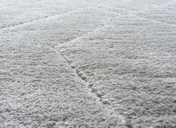 Tapijt Madagaskar 240x300cm - polyestervezel - lichtgrijs