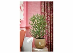 Vaas Matteo Ø16x13cm - terracotta - taupe